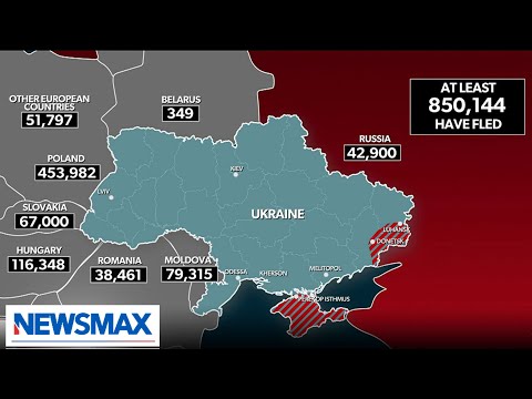 You are currently viewing We are LITERALLY funding Russia’s war in Ukraine | Kat Cammack | ‘National Report’