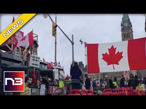 You are currently viewing Ottawa Residents Complain Of Traumatic Phantom Honking After Convoy Truckers