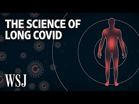 Read more about the article What Causes Long Covid and Who Is Most at Risk? | WSJ