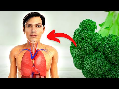 You are currently viewing When You Eat Broccoli Every Day, This Is What Happens To Your Body