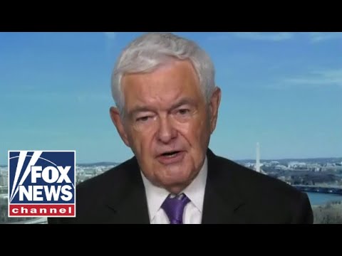 You are currently viewing Newt Gingrich: This is the insanity of the Biden administration