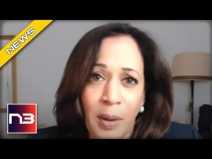 Read more about the article News Host Says Identity Politics is Officially Dead Because Of Kamala Harris Disaster