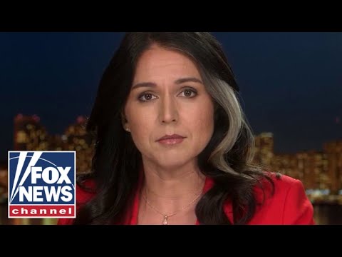 You are currently viewing Tulsi Gabbard: Labs need to be ‘shut down immediately’