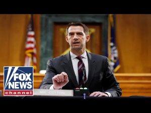 Read more about the article Sen. Cotton: Biden is moving at the speed of bureaucracy, not warfare