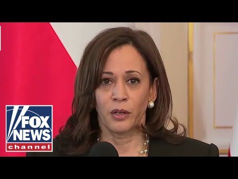 You are currently viewing VP Kamala Harris says US ready to defend NATO territory