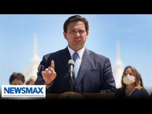 Read more about the article Media slams DeSantis’ ‘Don’t Say Gay’ Bill