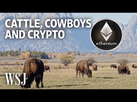 You are currently viewing Crypto Investors Take On Wyoming Real Estate | WSJ