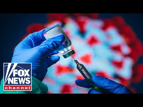 You are currently viewing Dr. Makary on lessons learned in two years of a pandemic | Fox News Rundown