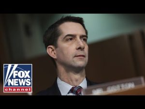 Read more about the article Sen. Cotton: I just can’t believe this is happening