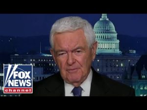 Read more about the article Biden is appeasing radical leftists: Newt Gingrich