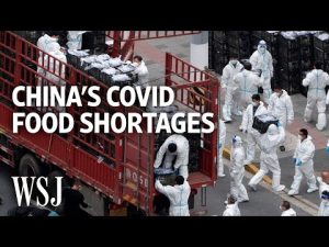 Read more about the article Shanghai Residents Face Food Shortages Amid Strict Covid Lockdowns | WSJ