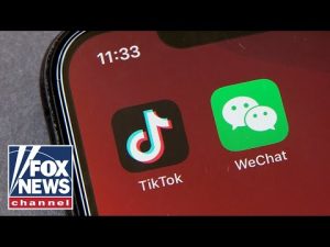 Read more about the article ‘Libs of Tik Tok’ creator speaks on Big Tech punishments