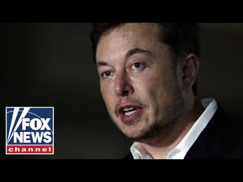 You are currently viewing Elon Musk is the right ‘medicine’ for Twitter: Payne