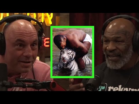 You are currently viewing Mike Tyson Talks About Tigers