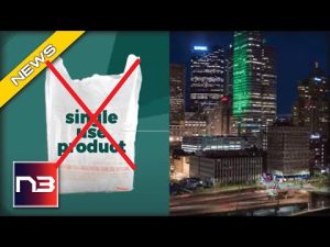 Read more about the article ENVIRONMENTAL Control: East Coast City Bans Businesses From Using Plastic Bags