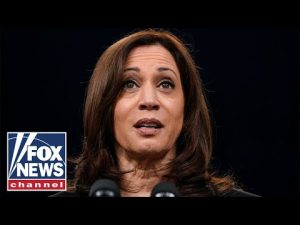 Read more about the article Where the hell is Kamala Harris?