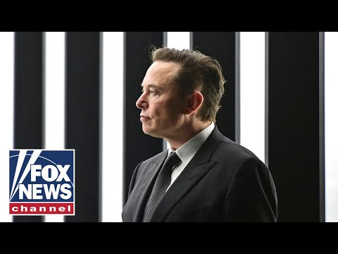 You are currently viewing Elon Musk represents a ‘danger’ to the left: Gingrich