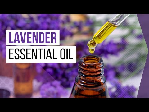 You are currently viewing 8 Incredible Lavender Oil Uses and Benefits for Your Health