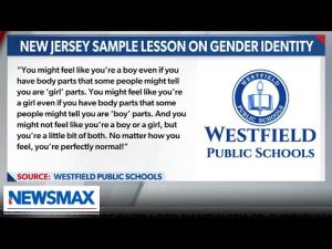 Read more about the article Clinical psychologist SLAMS gender identity education | Dr. Angela Plowhead | ‘National Report’