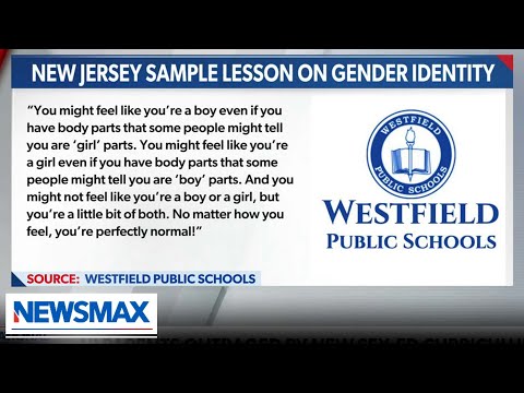 You are currently viewing Clinical psychologist SLAMS gender identity education | Dr. Angela Plowhead | ‘National Report’