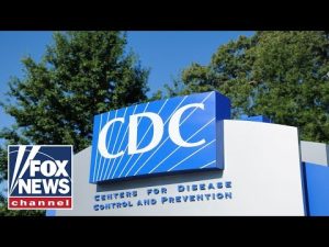 Read more about the article CDC does not have legal authority on mandates: Rep. Massie