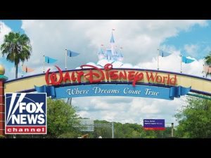 Read more about the article Florida stands up to woke Disney