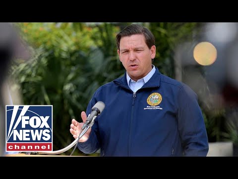 You are currently viewing Disney employee praises Ron DeSantis: They went after him