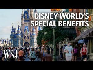 Read more about the article Disney’s Special Tax District in Florida, Explained | WSJ