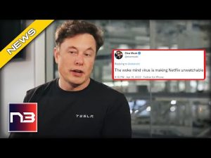 Read more about the article Netflix Gets KARMA For Going Woke, Then Elon Musk Hits Them With Priceless Tweet