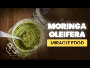 Read more about the article 10 Powerful Health Benefits Of Moringa