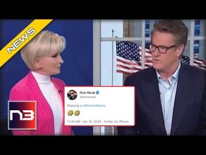 Read more about the article “SEWAGE:” Morning Joe RAGES After Elon Musk Tweets Something At Mika