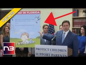 Read more about the article Ron DeSantis Hits Liberals Right WHERE IT HURTS!