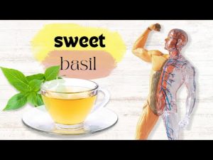 Read more about the article Sweet Basil Tea: Treats Digestive and Respiratory Problems and More!