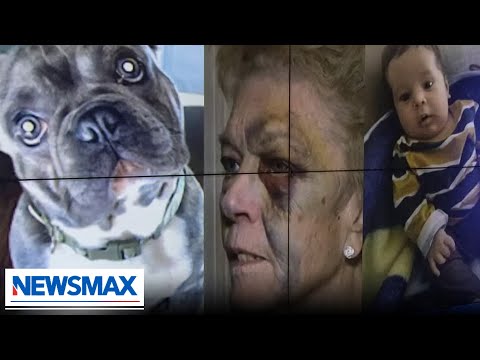 You are currently viewing Dogs, babies, elderly not safe in Biden’s America | ‘Eric Bolling The Balance’