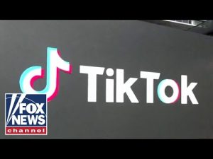 Read more about the article Biden disinformation czar goes viral for TikTok song