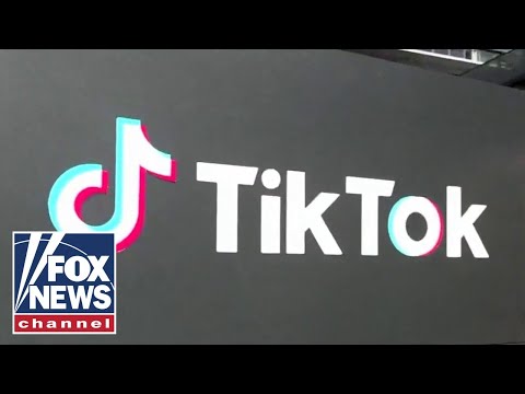 You are currently viewing Biden disinformation czar goes viral for TikTok song