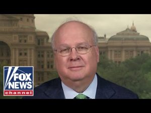 Read more about the article Rove: Disinformation director is a ‘political hack’