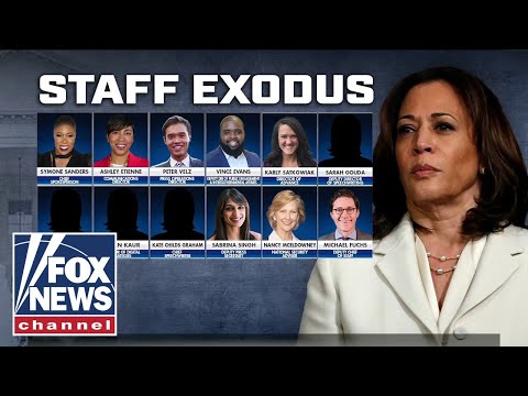 You are currently viewing ‘The Five’ tears into Kamala’s staff exodus