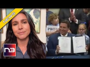 Read more about the article Tulsi Gabbard Flips On Dems Then Gives Nod To DeSantis And His Florida Law