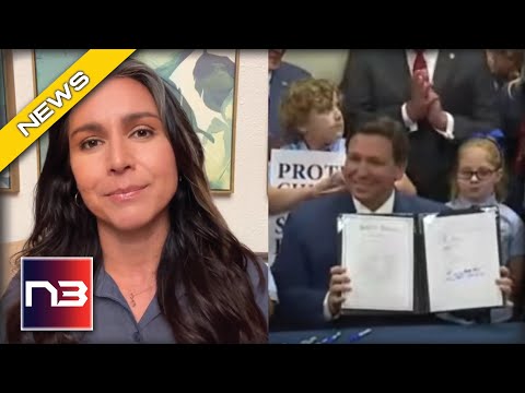 You are currently viewing Tulsi Gabbard Flips On Dems Then Gives Nod To DeSantis And His Florida Law