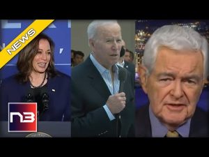 Read more about the article Newt Gingrich Says 2 Words About Biden And 1 About Kamala That’ll Have Them Furious