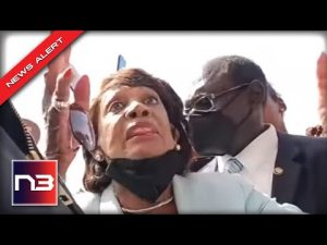 Read more about the article Maxine Waters Marches Into Crowd Of Homeless, What She Does Next Is OUTRAGEOUS