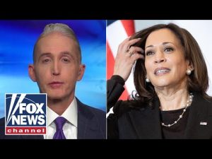 Read more about the article Gowdy: What has Harris done to settle border crisis?