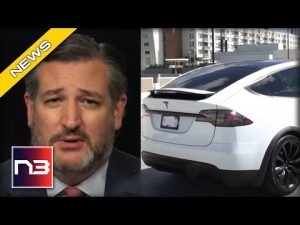 Read more about the article Ted Cruz May Buy A Tesla For HYSTERICAL Reason, Gives Musk Kudos For Taking Twitter