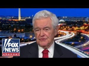 Read more about the article Gingrich: Nobody believes the Democrats’ defense of inflation