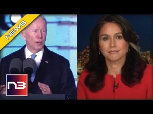 Read more about the article Tulsi Gabbard Points Out Little Known Truth About Why Biden’s Putin Gaffe Was Not Really One