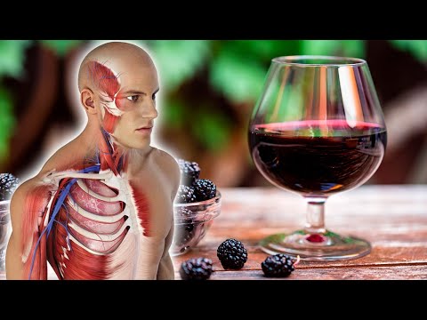 Read more about the article BlackBerry “Wine”: A Natural Remedy for Diabetes and Anemia