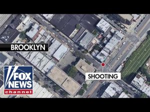 Read more about the article Multiple people shot at Brooklyn subway station