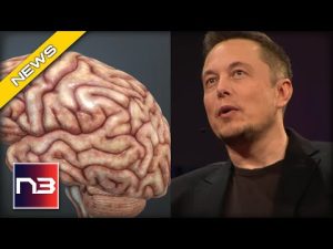 Read more about the article Elon Musk REVEALS Latest SciFi-Like Plans and They Involve Your Brain