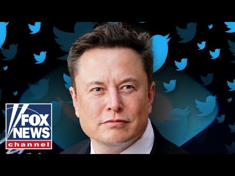 You are currently viewing ‘The Five’ react to Elon Musk putting Twitter takeover ‘on hold’